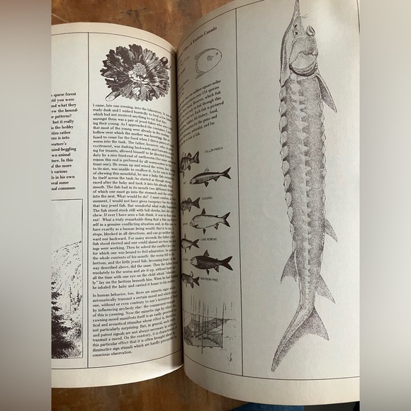 Canadian Whole Earth Almanac Fall 1970 - Picture 6 of 16